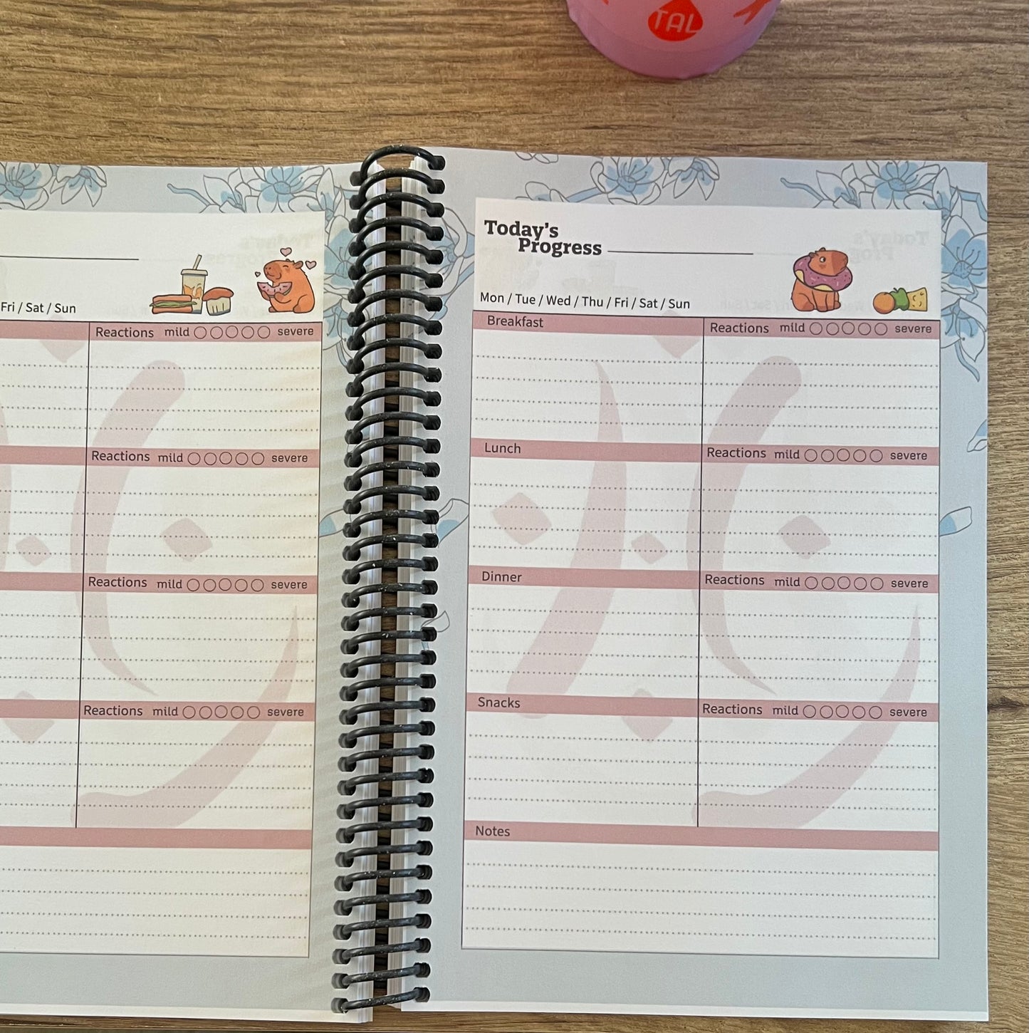 Food Journal 6 months