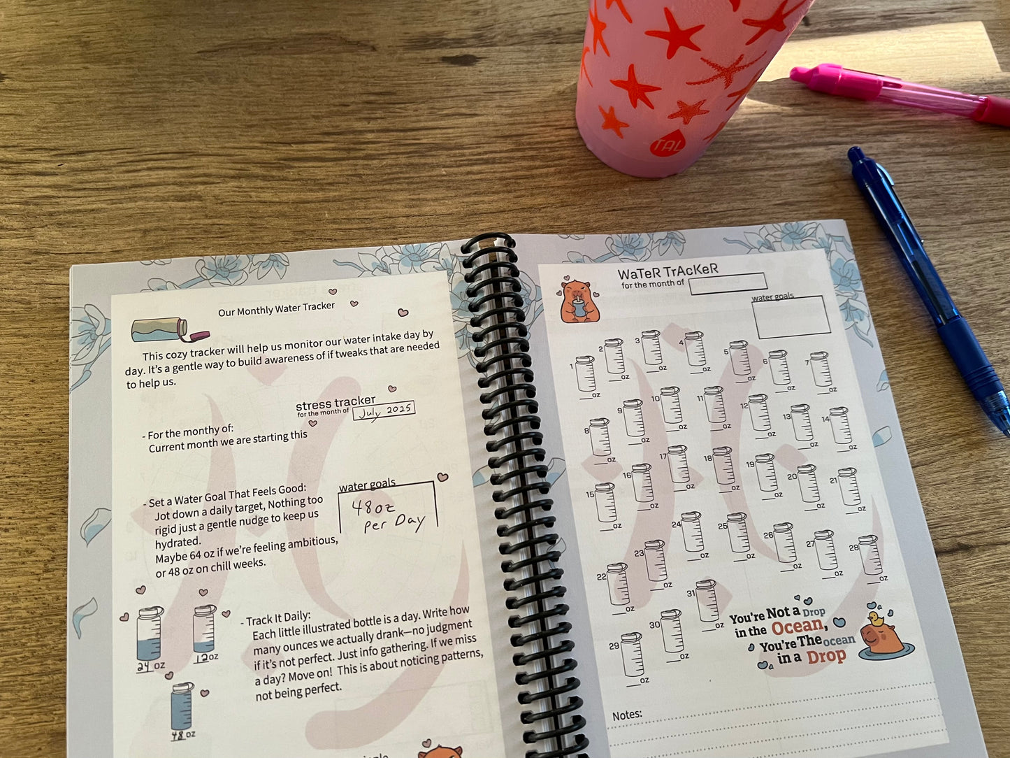 Food Journal 6 months
